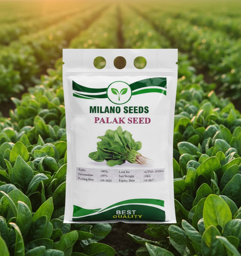 Palak